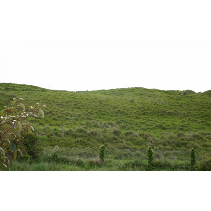 GERMAN ORIGINAL D-DAY FIRED MG-42 SPENT BULLETS (SHELL CASINGS) FROM OMAHA BEACH - Image 8