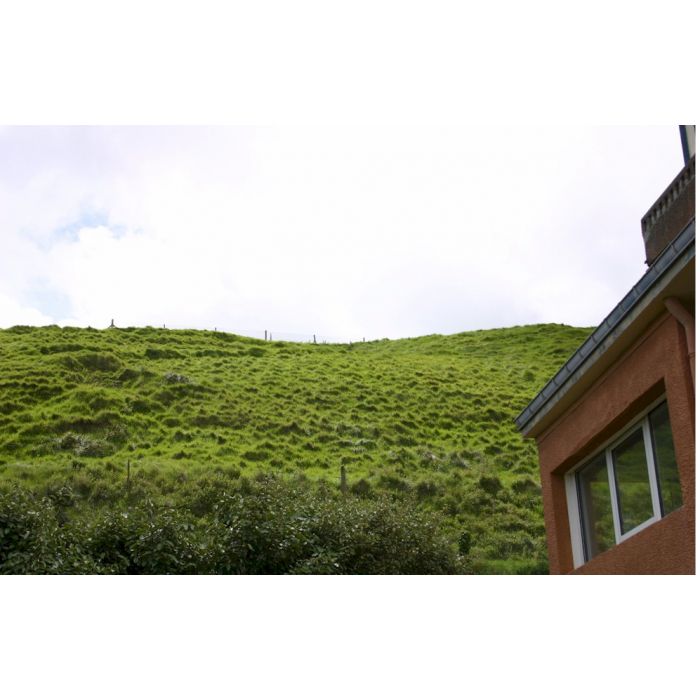 GERMAN ORIGINAL D-DAY FIRED MG-42 SPENT BULLETS (SHELL CASINGS) FROM OMAHA BEACH - Image 7