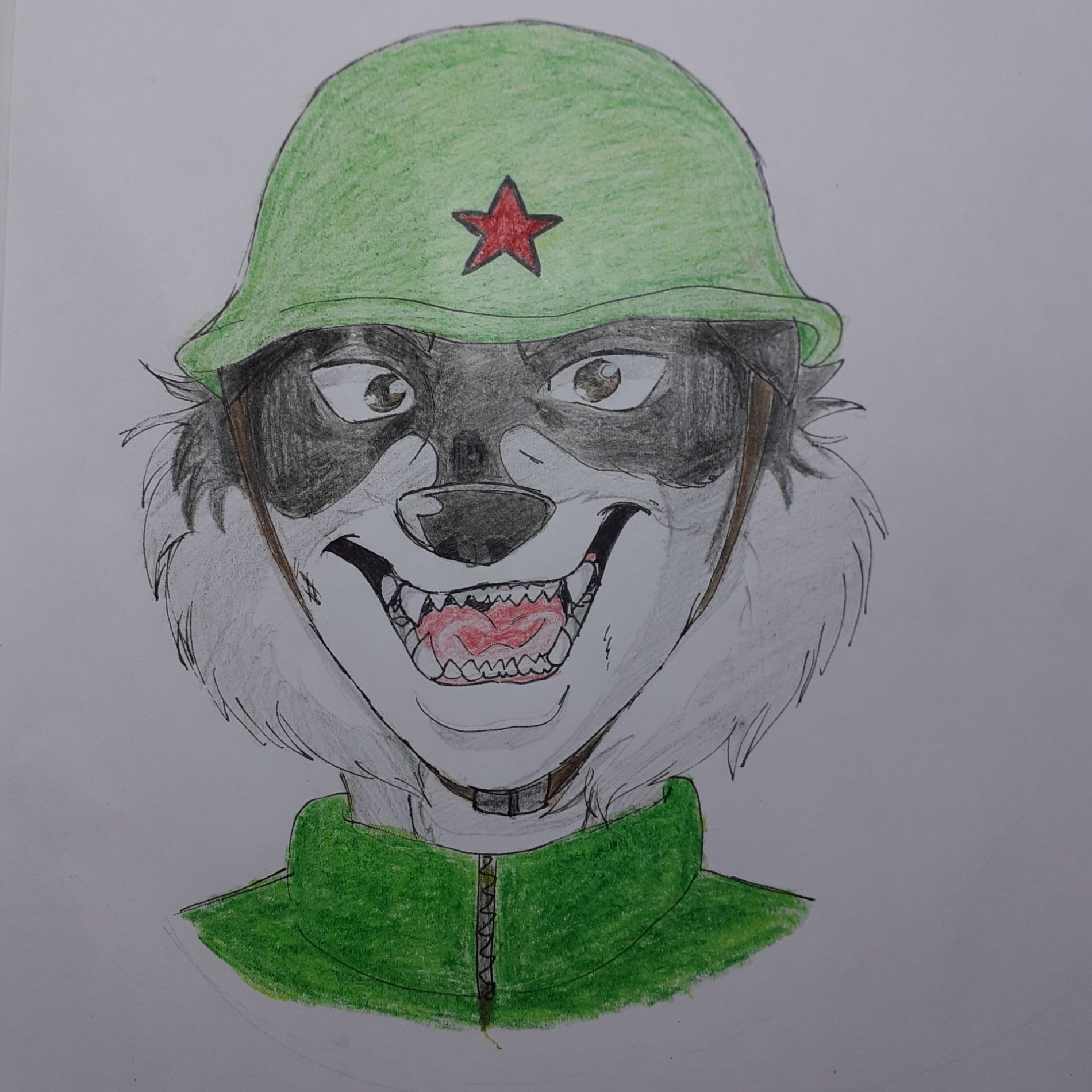 Raccoon Militaria